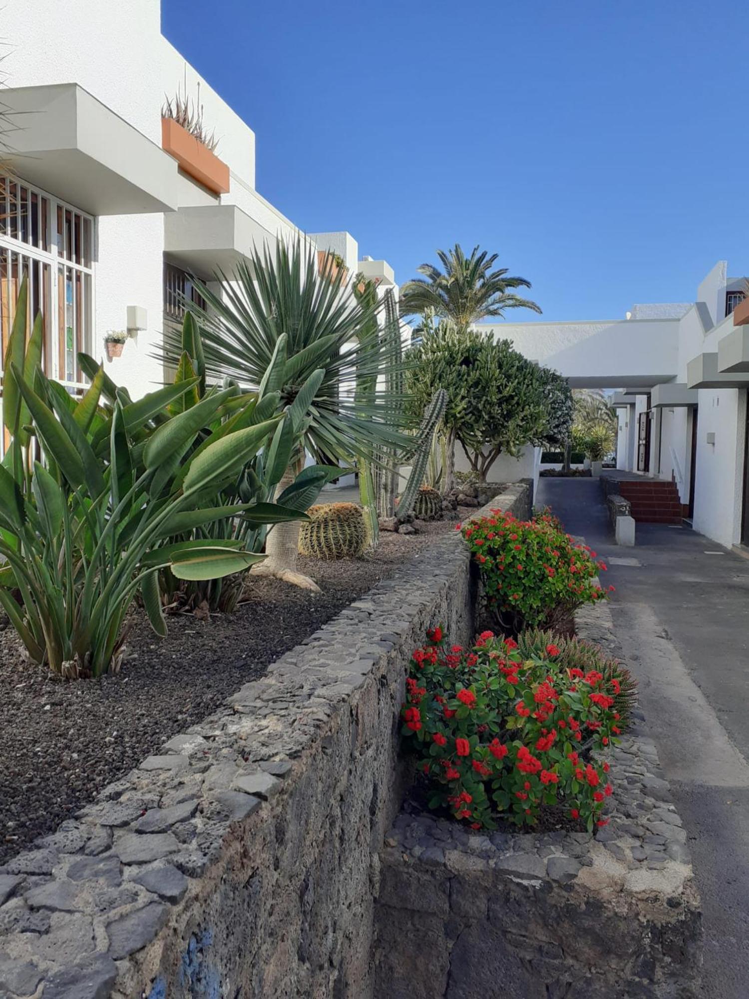 Precioso Apartamento Costa Del Silencio Zewnętrze zdjęcie