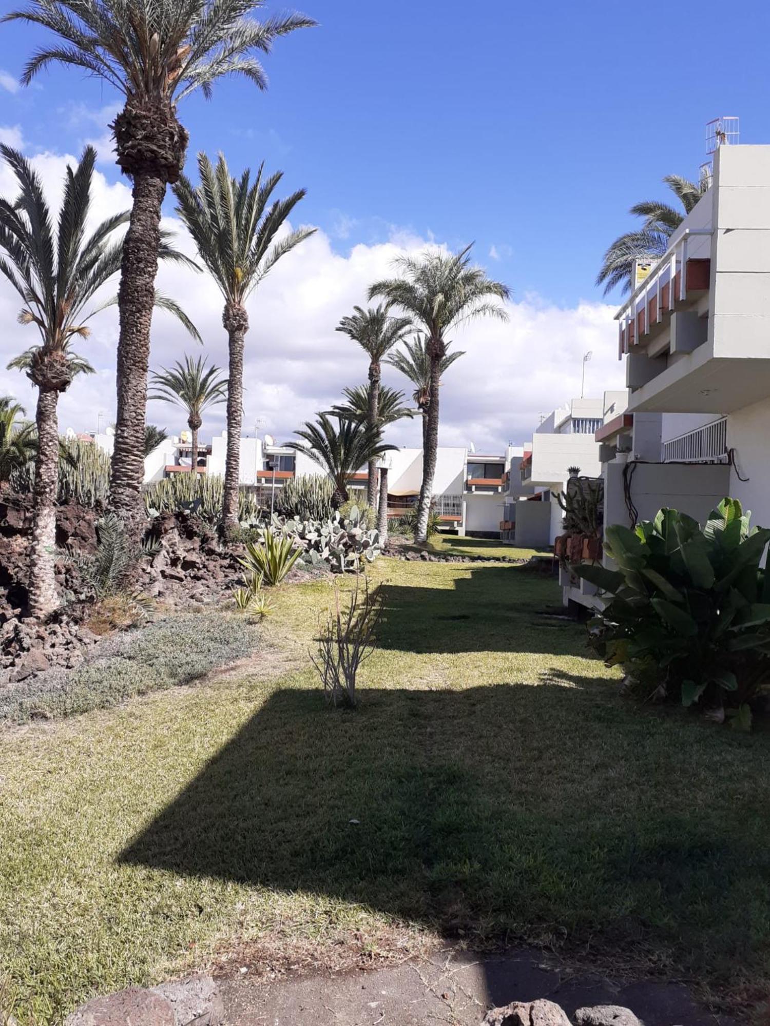 Precioso Apartamento Costa Del Silencio Zewnętrze zdjęcie