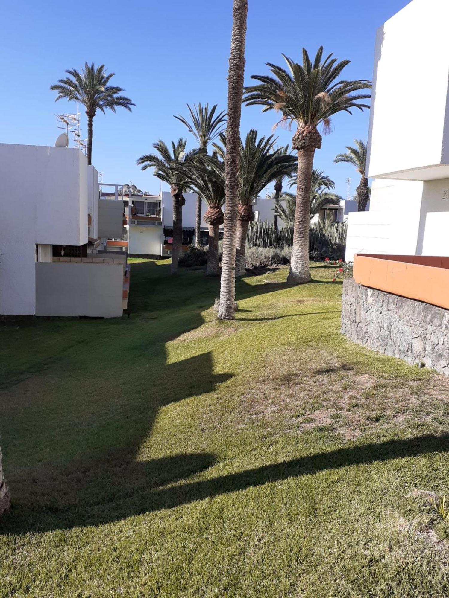 Precioso Apartamento Costa Del Silencio Zewnętrze zdjęcie